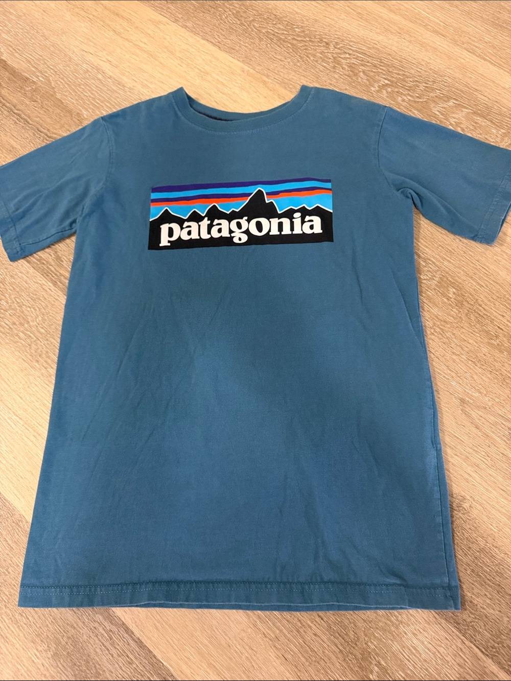 Patagonia Kids Short Sleeve Tee in Teal Blue with Multicolor Logo